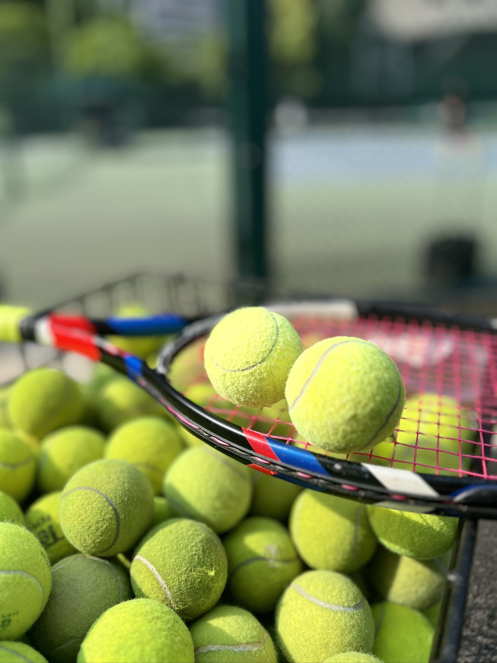 仅展现了曼 仅展现了曼